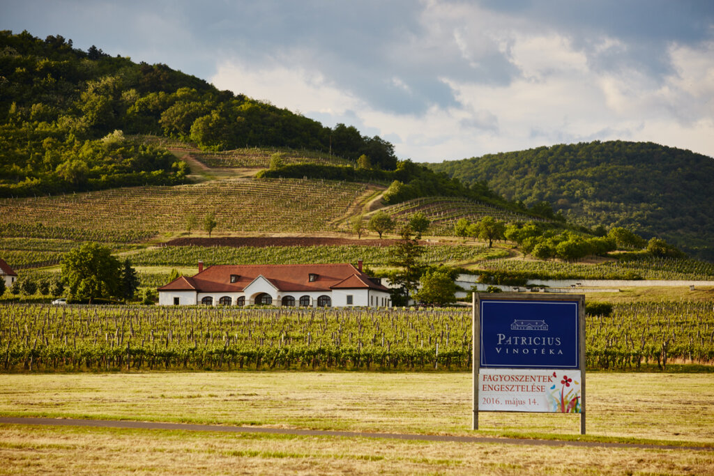 Private Helicopter Wine Tour to Tokaj: Tasting Heritage at Patricius Winery