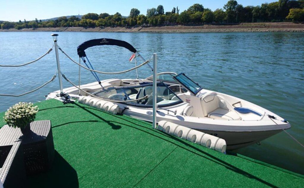 High-Speed Motorboat Tour on the Danube River
