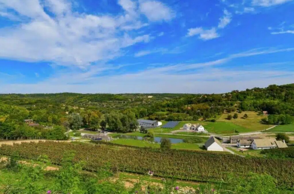 Private Helicopter Wine Tour to Szekszárd: Discover the Soul of Hungary’s Spicy Reds