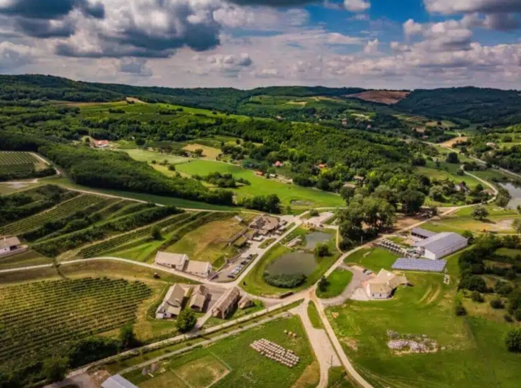 Private Helicopter Wine Tour to Szekszárd: Discover the Soul of Hungary’s Spicy Reds