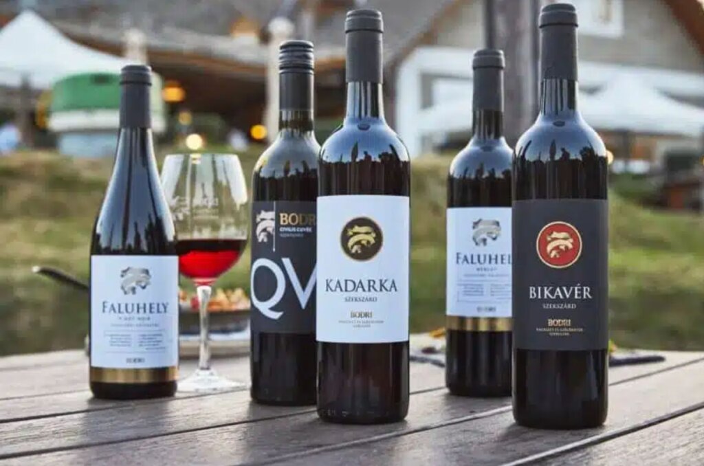 Private Helicopter Wine Tour to Szekszárd: Discover the Soul of Hungary’s Spicy Reds